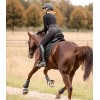 Waldhausen Saddle Pad Felix Glam
