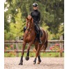 Waldhausen Saddle Pad Breath Performance