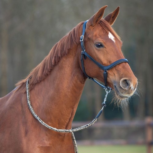 QHP Salerno Anatomical Halter
