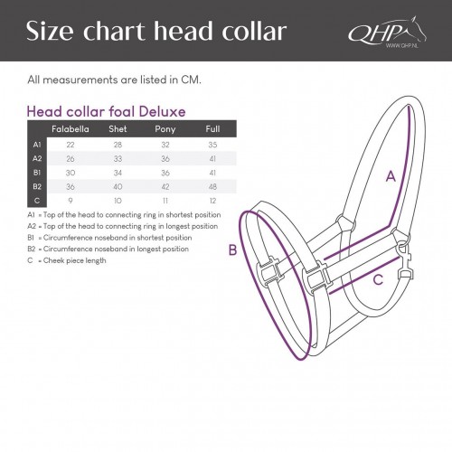 QHP Foal halter Deluxe
