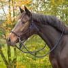 QHP Rope halter Color with reins