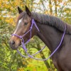 QHP Rope halter Color with reins