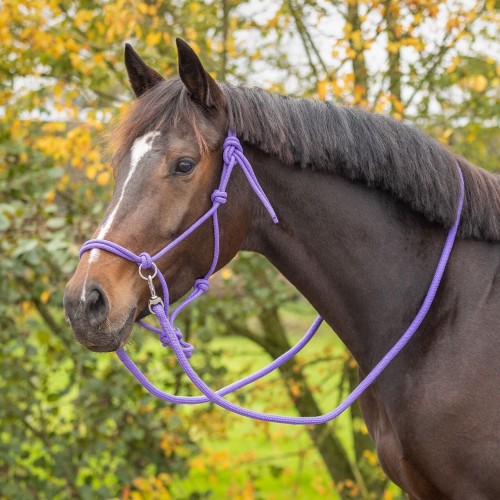 QHP Rope halter Color with reins