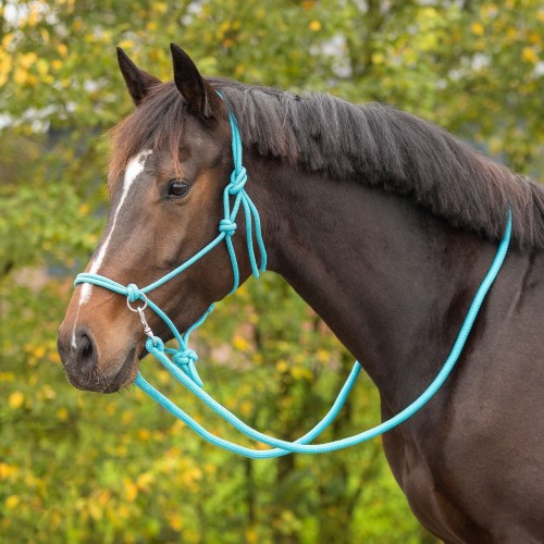 QHP Rope halter Color with reins
