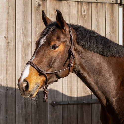 QHP Rope Halter leather Liberta