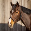 QHP Rope Halter leather Liberta