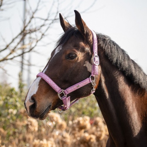 QHP Halter Lyvia