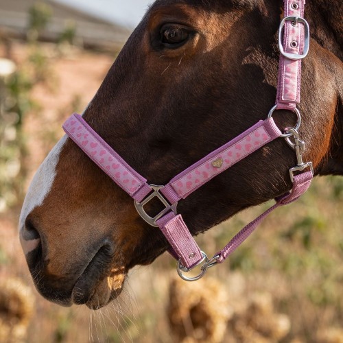 QHP Halter Lyvia