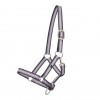 QHP SS26 Foal halter collection