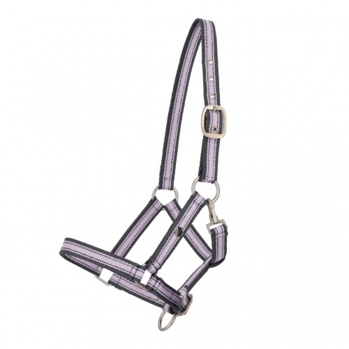 QHP SS26 Foal halter collection