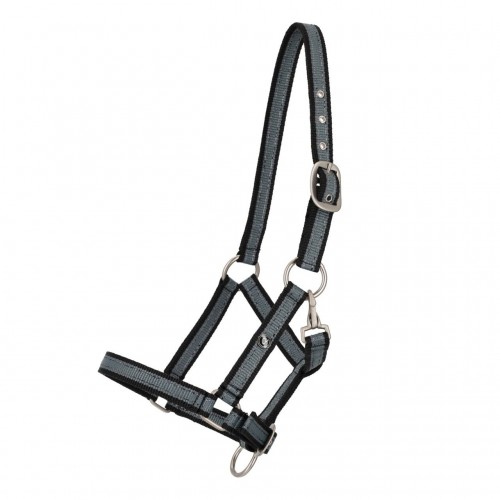 QHP SS26 Foal halter collection