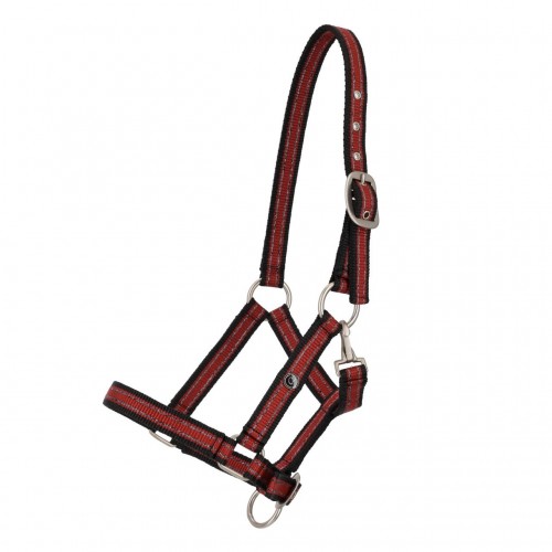 QHP SS26 Foal halter collection