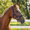 QHP Padded Halter