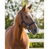 QHP Padded Halter