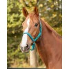 QHP Padded Halter