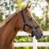 QHP Padded Halter