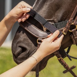 QHP Tack-Up недоуздок