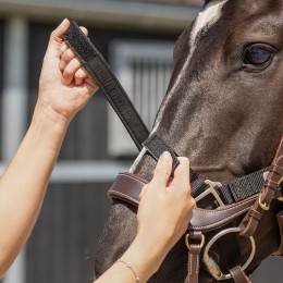 QHP Tack-Up недоуздок