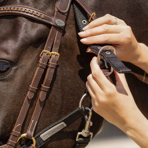 QHP Tack-Up Halter