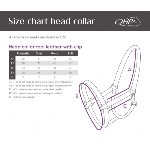 Q-Essentials Leather foal halter with clip