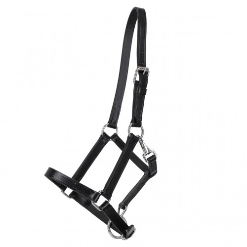 Q-Essentials Leather foal halter with clip