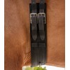 Waldhausen Dressage Girth Economic