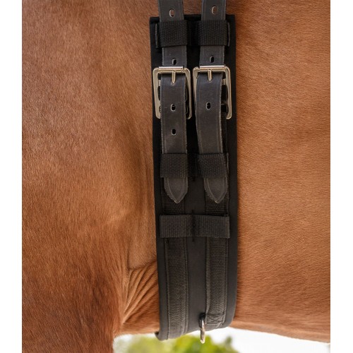 Waldhausen Dressage Girth Economic
