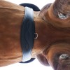 Kavalkade Girth Soft Leather Classic Elastic