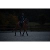 HKM Jacket Honey Illuminated
