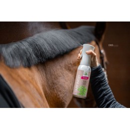 Bense & Eicke StarFinish Fragrance Free 500ml