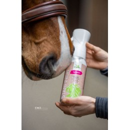 Bense & Eicke StarFinish Fragrance Free 500ml