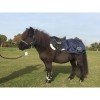 HB Harry and Hector Pony Waterdichte Uitrijdeken Fleece