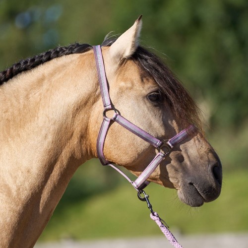 Imperial Riding SS25 Halter Economic