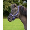 QHP Halter Icelandic