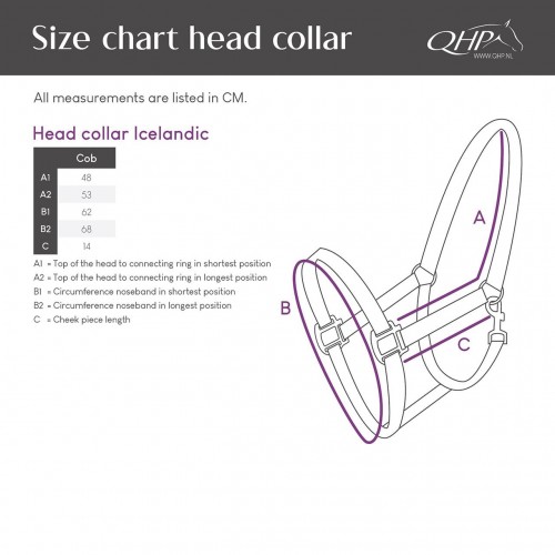 QHP Halter Icelandic