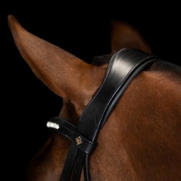 Imperial Riding уздечка с трензелем IRH simple combined капсюль