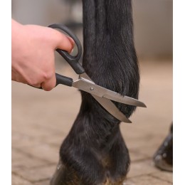 Waldhausen Curved Scissors