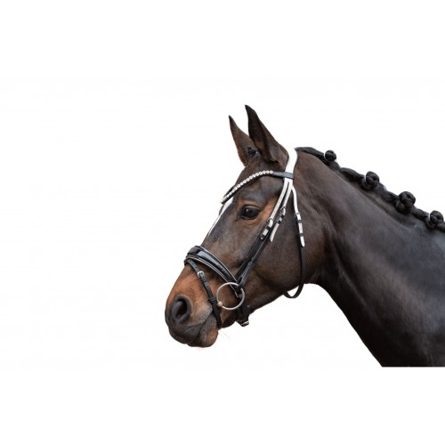 Lauria Garrelli  SS26 Bridle Limone Elegant