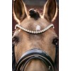 Lauria Garrelli  SS26 Bridle Limone Elegant