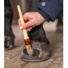 Waldhausen Hoof Brush