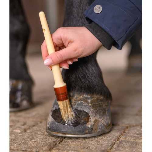 Waldhausen Hoof Brush