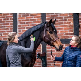 Bense & Eicke Rosborstel