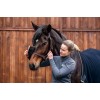 Bense & Eicke Glansborstel