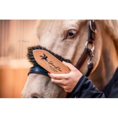 Bense & Eicke Glansborstel