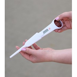 Waldhausen Digital Thermometer