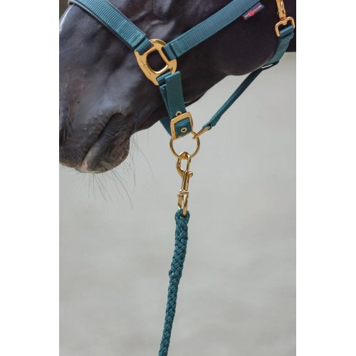 Covalliero TopLine Lead Rope with Carabiner Hook