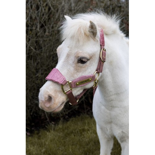Kentucky Velvet Halter Unicorn Glitter