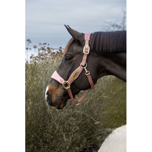 Kentucky Velvet Halter Unicorn Glitter