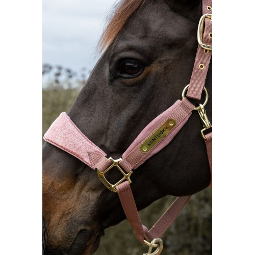 Kentucky Velvet Halter Unicorn Glitter