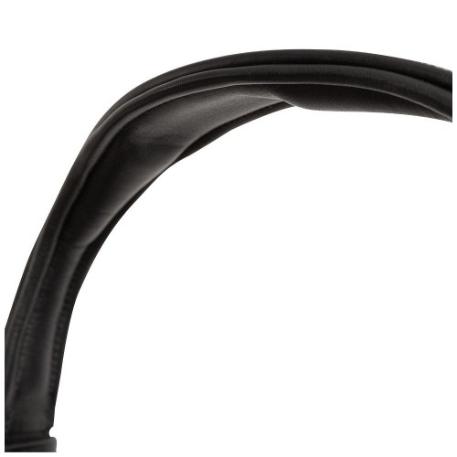 BR Hitchin Bridle